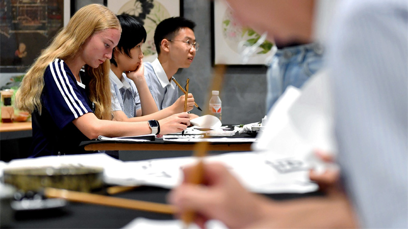 デジタル時代の文明間対話：多様性の調和をどう実現するか