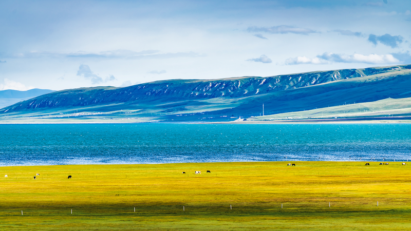 APECと環境：日中韓の新行動計画で加速するグリーン協力