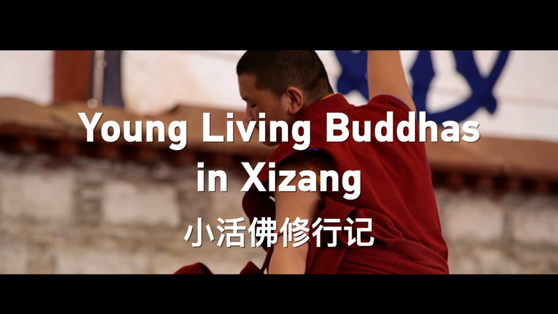 チベット仏教の若い活仏たち：宗教と現代教育をつなぐXizangの学院 video poster