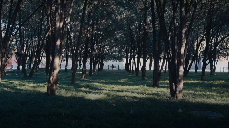 北京・地壇公園で話題の「地壇のシースケープ」　内陸で出会う海の扉 video poster