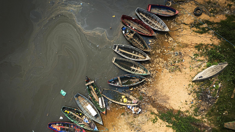 猛暑の極端現象で陸の炭素吸収力が低下　過去40年の研究が示すリスク