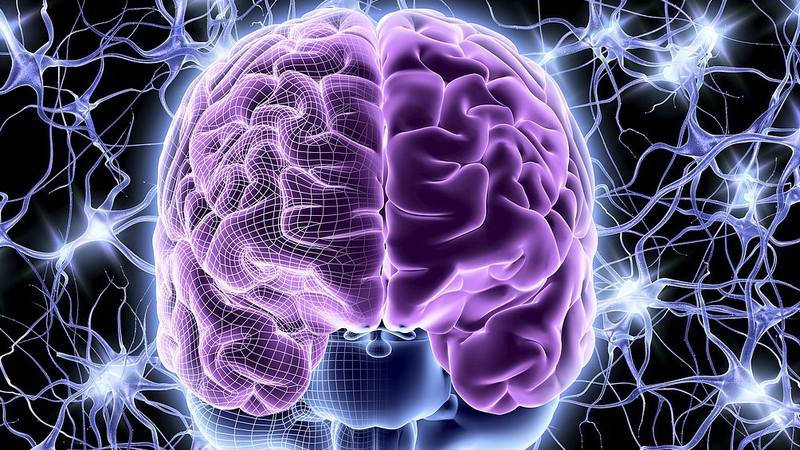 中国研究者が脳損傷治療へ カクテルハイドロゲルを開発