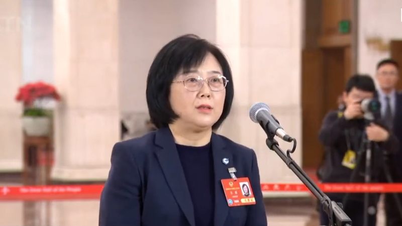 中国「低空経済」が新成長エンジンに　CPPCC委員が語る可能性 video poster