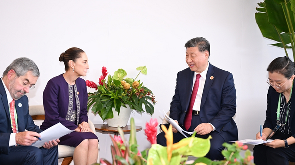 G20リオで中国とメキシコ首脳会談　新時代の包括的関係強化へ