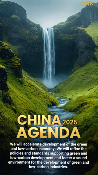 中国が低炭素経済を加速へ　第14期全人代で李強首相が方針表明 video poster