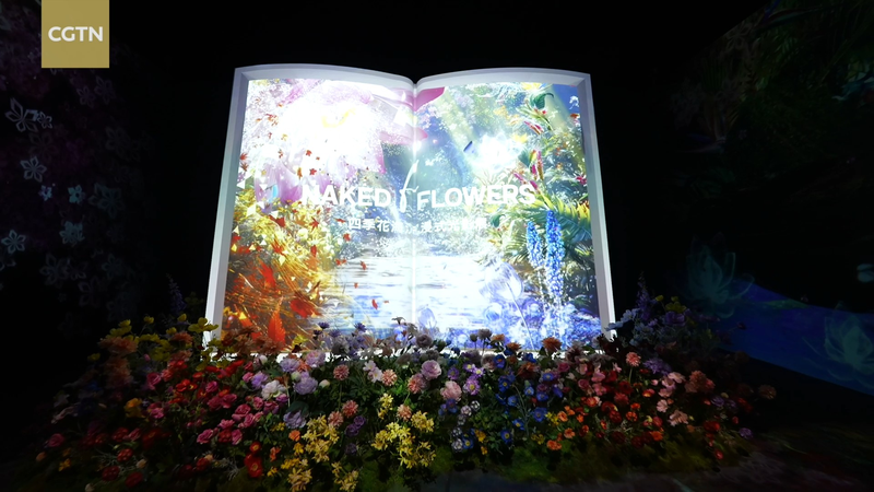 北京でマカオ返還25周年を光で祝う 没入型ライトショー『Naked Flowers』 video poster