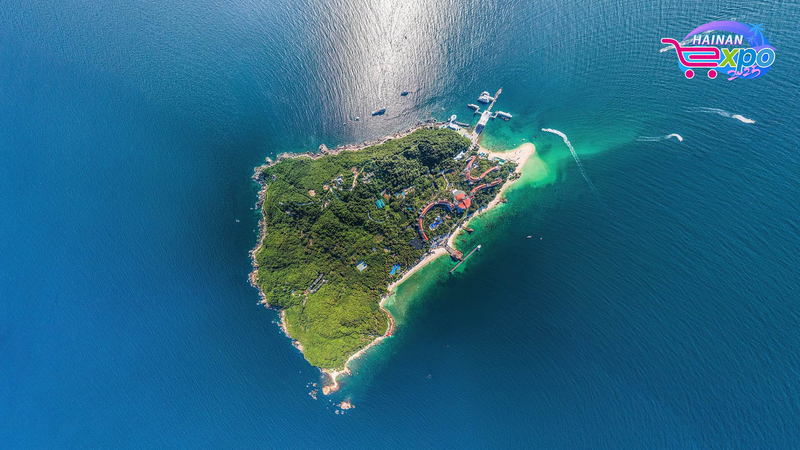 中国・海南省蜈支洲島の海中ライブ　色鮮やかなサンゴと魚たち video poster