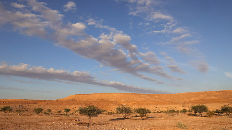 国連砂漠化対処条約COP16がリヤドで開幕　土地回復と干ばつ対策を協議