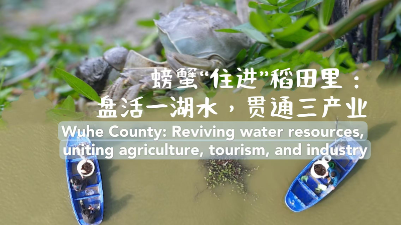 中国・安徽省五河県　水資源を軸に農業・観光・工業を再生 video poster