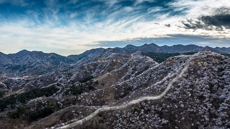 中国各地でまれな強風と砂嵐　週末にかけて気象当局が警報
