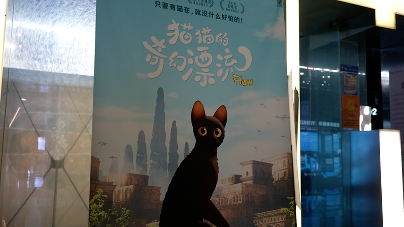 中国本土公開のラトビア映画『フロー』　アカデミー賞アニメがつないだ文化交流 video poster