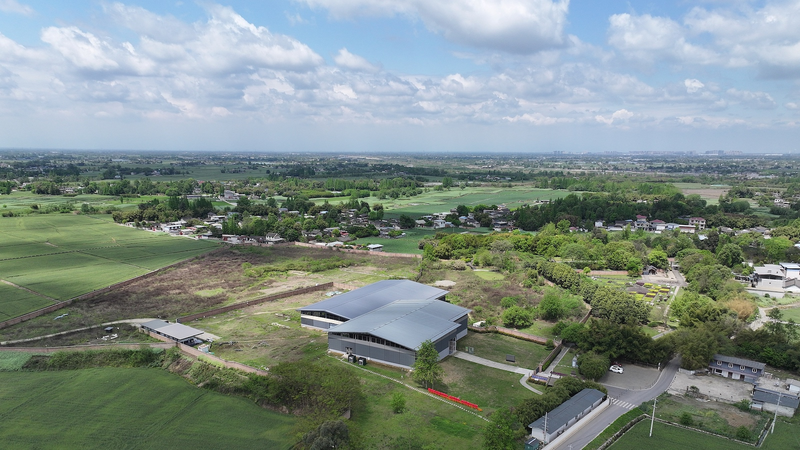 2024年の考古学トップニュース 中国と世界の発見をCMGが選出