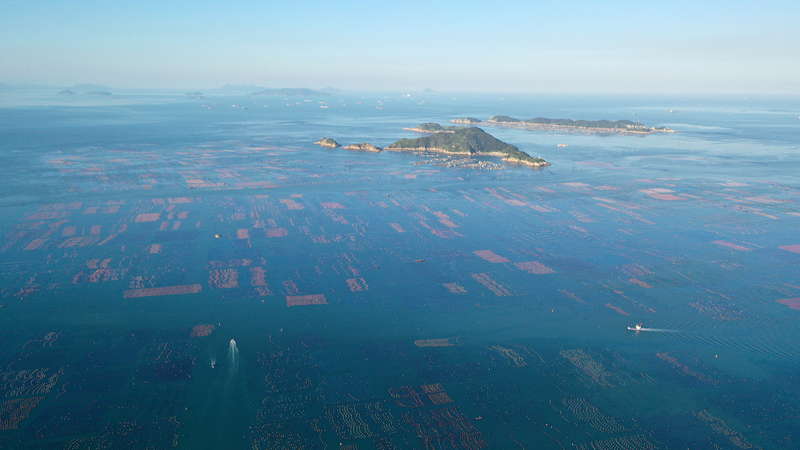 中国の海洋ビジョンと国際協力　世界海洋デーで新報告書