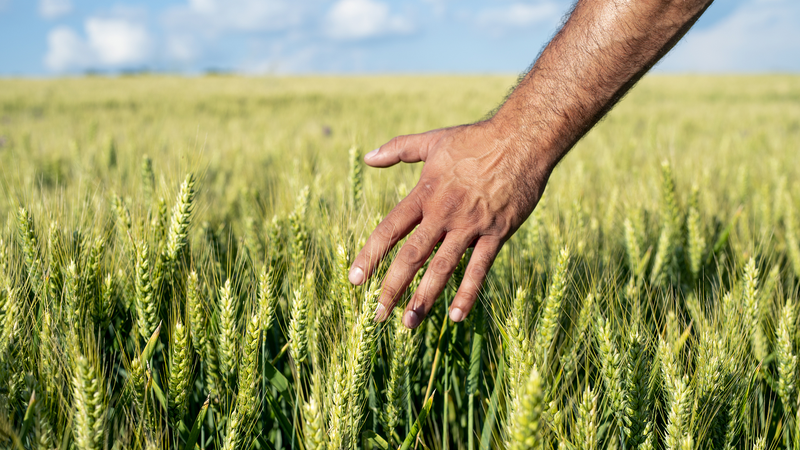 中国の農村所得が10年で2倍超　2023年に1人当たり2万1691元