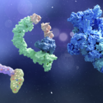 中国の研究チーム、SupTACsで標的タンパク質分解を精密制御へ前進