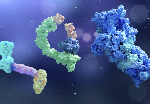 中国の研究チーム、SupTACsで標的タンパク質分解を精密制御へ前進
