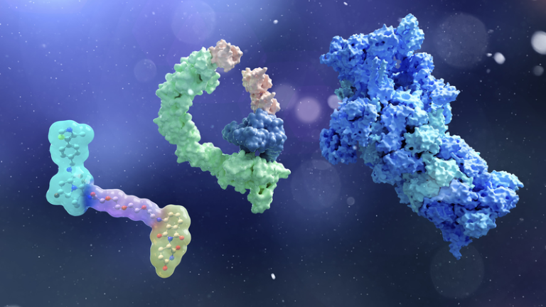 中国の研究チーム、SupTACsで標的タンパク質分解を精密制御へ前進