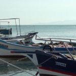 チュニジアの違法漁業がホホジロザメを追い詰める—地中海で何が起きているか video poster