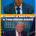 トランプ氏「Board of Peace」再提案、国連は「任務と決議次第」 video poster