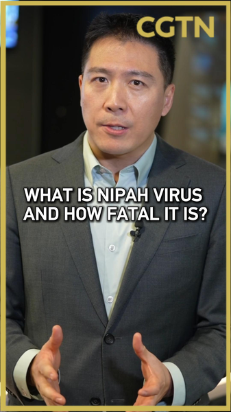 インドでニパウイルス複数確認、アジアで監視と渡航スクリーニング強化 video poster