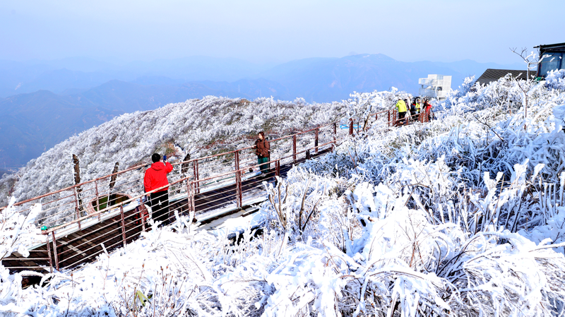 杭州・鸬鳥山が雪化粧　霧氷と樹氷がつくる“冬の別世界”
