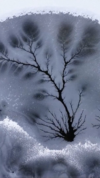 新疆の凍った川に「氷の森」出現　枝のように広がるレア現象 video poster