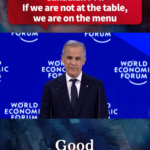 カナダ首相、WEF2026で「席にいなければメニュー」　秩序は“虚構”と発言 video poster