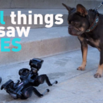 CESが今週閉幕：会場で見えた「驚き」と「奇妙さ」が同居する新テック video poster