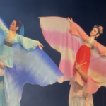 春節間近、チリの海辺を魅了した中国人形劇──ビニャデルマルで文化交流 video poster