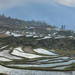 中国本土・雲南の紅河で“古村跡グランピング”　棚田の縁で味わう静けさ