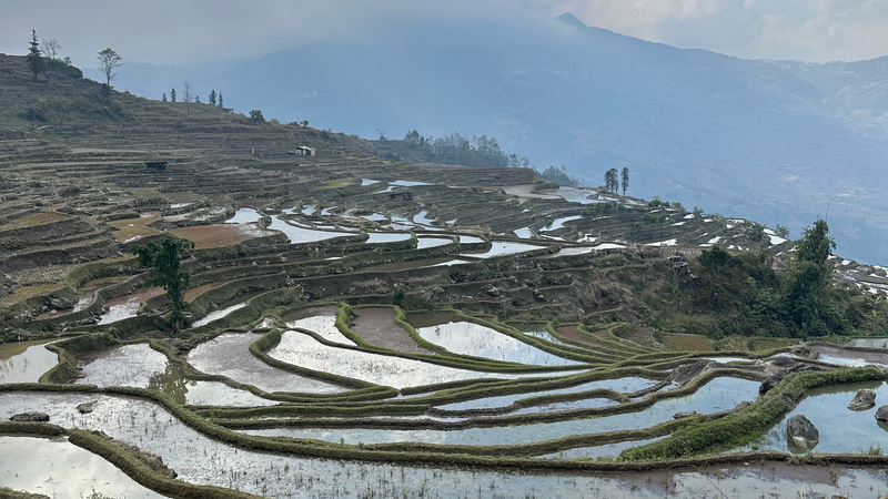 中国本土・雲南の紅河で“古村跡グランピング”　棚田の縁で味わう静けさ