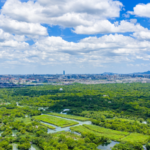 中国本土・杭州が国連の「ゼロウェイスト都市」世界20都市に選定