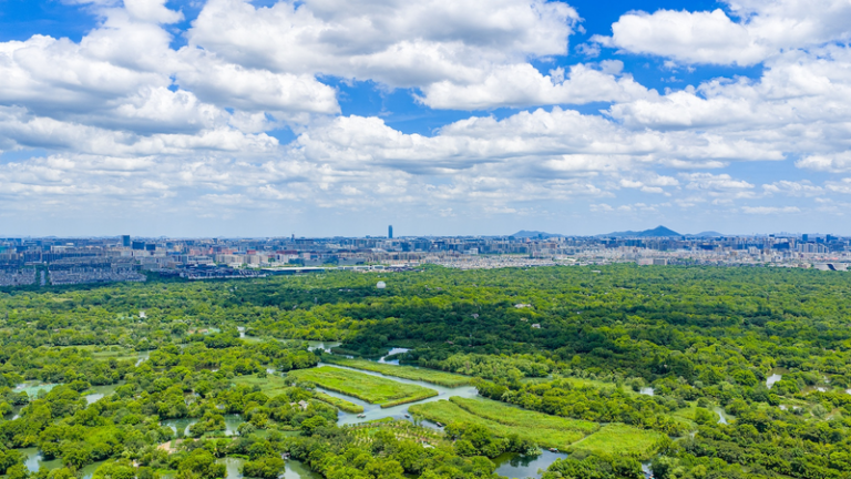 中国本土・杭州が国連の「ゼロウェイスト都市」世界20都市に選定