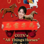 CGTNが「All Things Horses」投稿企画　春節前、“馬”テーマで広がる創作 video poster