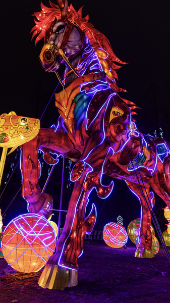 合肥で2026年「廬州」新春ランタンフェア開幕、伝統×デジタルで光の回廊 video poster