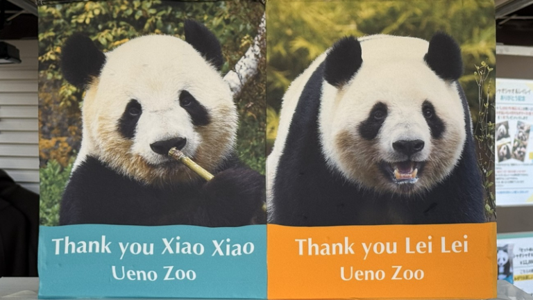 上野動物園の双子パンダ、1月27日に中国本土へ帰還　最後の公開は25日