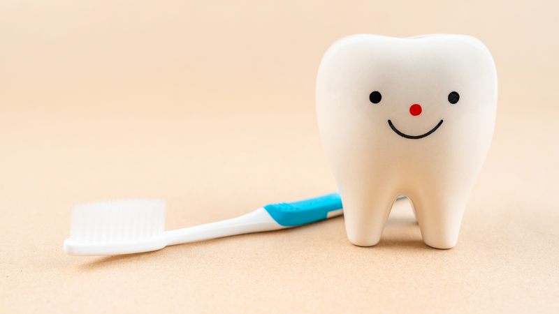 根管治療だけじゃない：断髄で歯の「命」を残す歯髄温存療法とは