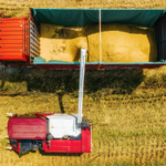 G1ZQU3I5JQS3W71LXEBK - NewsTomo – 日本語で読む、世界のニュースハブ 中国本土、長期の貧困支援を強化へ 農業近代化で「次の章」 video poster