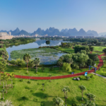 中国本土、2025年に847万haの国土緑化を完了　造林と草原再生が柱に