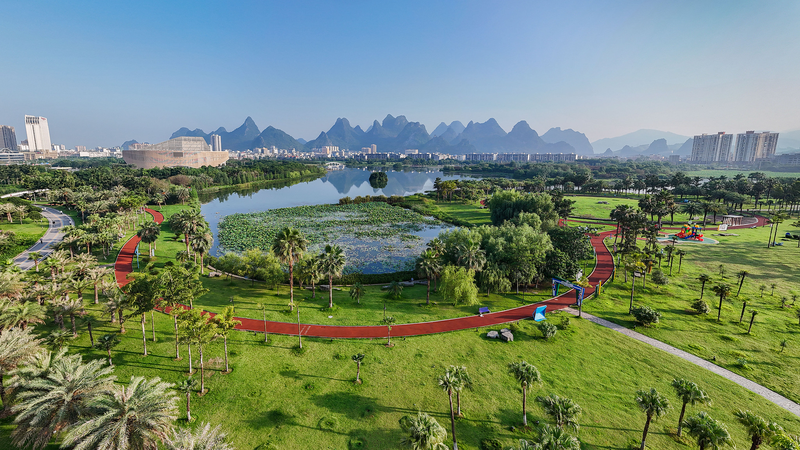 中国本土、2025年に847万haの国土緑化を完了　造林と草原再生が柱に