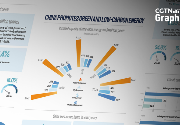 中国本土の風力発電、設備容量で15年連続世界1位—ダボス発言に外務省が反論