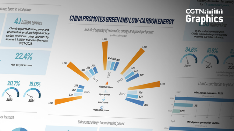 中国本土の風力発電、設備容量で15年連続世界1位—ダボス発言に外務省が反論