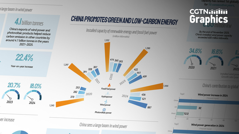 中国本土の風力発電、設備容量で15年連続世界1位—ダボス発言に外務省が反論