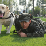 映画『Year of the Dog』、2026年2月14日に中国本土で公開へ——動物×謎×アクション