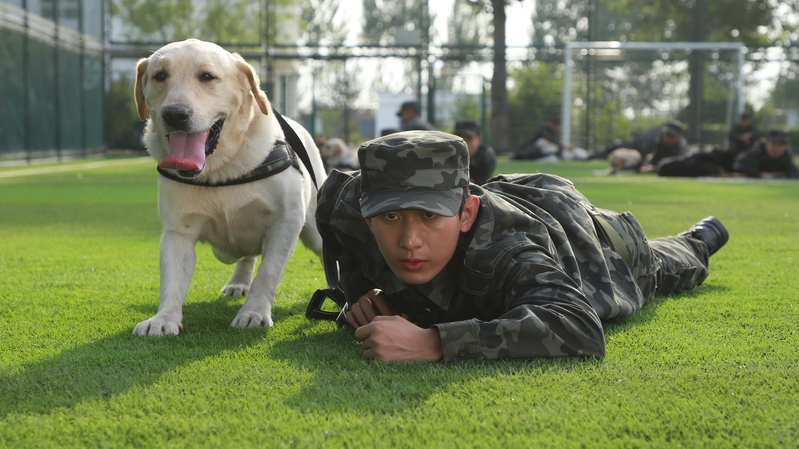 映画『Year of the Dog』、2026年2月14日に中国本土で公開へ——動物×謎×アクション