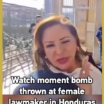 ホンジュラスで女性議員に爆発物投げ込まれる　国会前の取材中に負傷 video poster