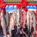 中国本土・吉林の査干湖で冬の漁祭開幕、「初獲り魚」が記録的落札