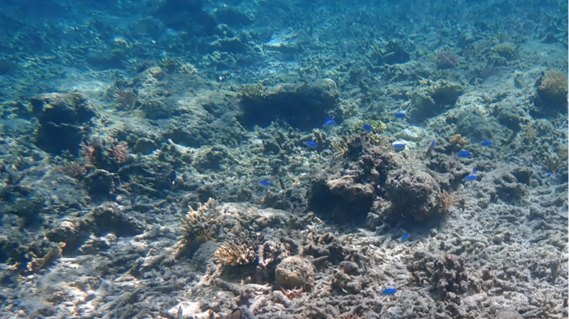 2025年、海が蓄えた熱が過去最大に：23ゼタジュールが示す気候の現在地