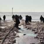 吉林省・査干湖（チャガン湖）氷上漁の祭典、1月8日開幕へ video poster