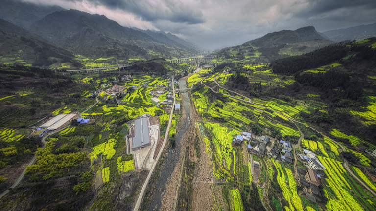 冬の四川で菜の花が開花　宜賓・中都鎮に「春の景色」 video poster